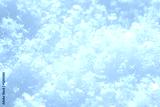 preview cold