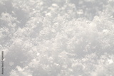 preview original
