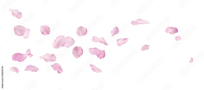 image to crop