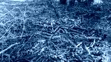 preview cold