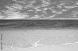 preview bw