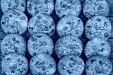 preview cold
