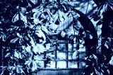 preview cold