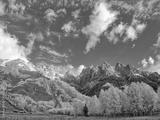 preview bw