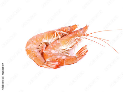 image to crop