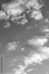 preview bw