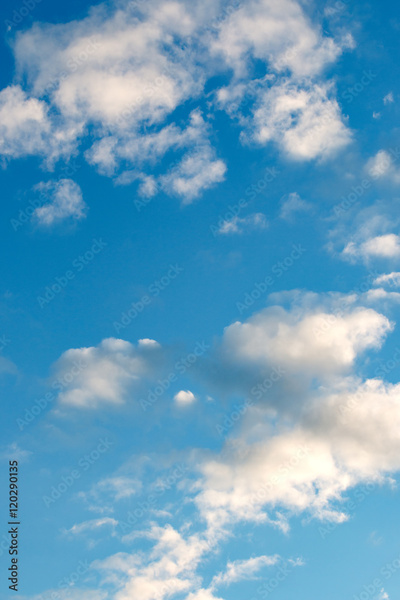 image to crop