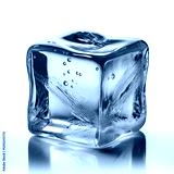 preview cold