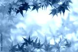 preview cold