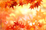 preview original