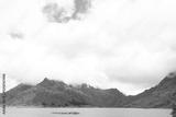 preview bw
