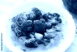 preview cold