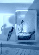 preview cold