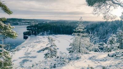 image to crop