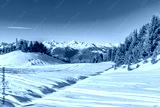 preview cold