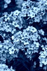preview cold