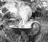preview bw