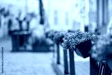 preview cold