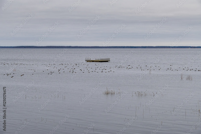image to crop