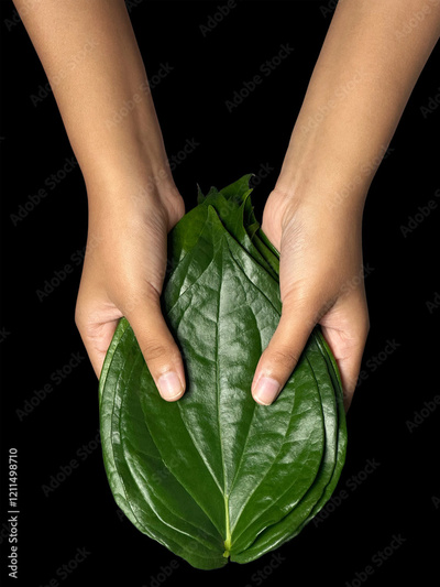 image to crop