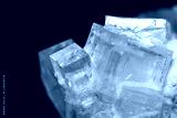 preview cold