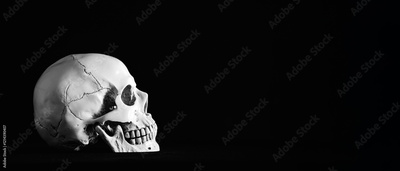image to crop