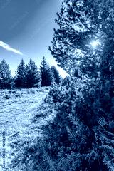 preview cold