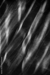 preview bw