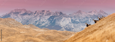 image to crop