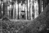 preview bw
