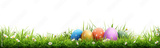 preview original