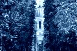 preview cold