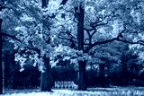 preview cold