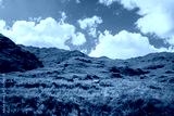 preview cold