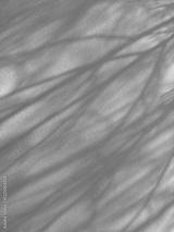 preview bw