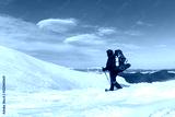 preview cold