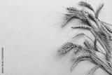 preview bw
