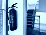 preview cold