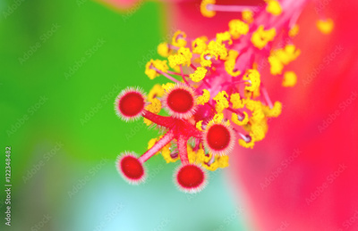 image to crop