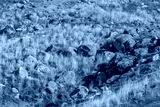 preview cold