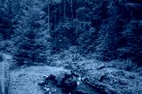 preview cold