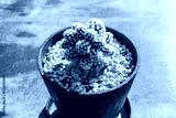 preview cold
