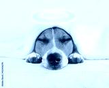 preview cold