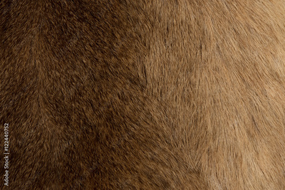 image to crop