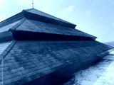 preview cold