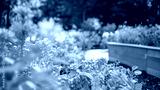 preview cold