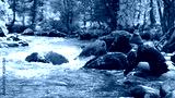 preview cold