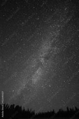 preview bw