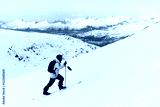 preview cold