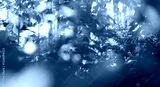 preview cold